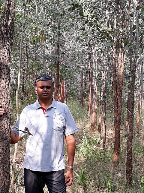 செம்மர ஏற்றுமதி தடையை நீக்க சர்வதேச அளவில் போராடி வென்ற ஊத்தங்கரை: விவசாயி மர மேம்பாட்டு வாரியம் அமைக்க வலியுறுத்தல்