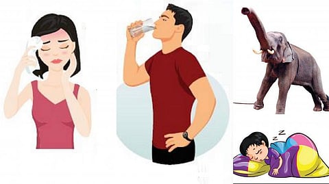 டிங்குவிடம் கேளுங்கள்: நெற்றியில் மருந்து தடவினால் தலைவலி எப்படிக் குணமாகும்?