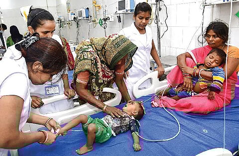 லிச்சிப் பழத்தால் மூளைக்காய்ச்சலா?