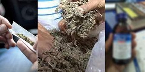 உலக போதை எதிர்ப்பு நாள்: இளைஞர்களை சீரழிக்கும் கஞ்சா, இருமல் மருந்து