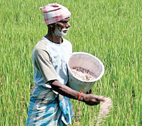 அலசல்: விவசாயிகளை சென்றடையாத கடன் திட்டங்கள்