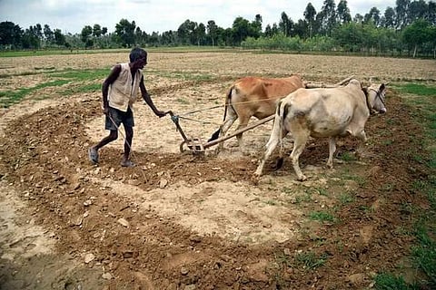 மத்திய பட்ஜெட் நாளை தாக்கல்: விவசாயம், தண்ணீர் சேமிப்புக்கு தேசிய அளவில் திட்டம் இருக்குமா?