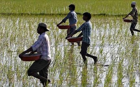 இ அடங்கல் திட்டத்தில் ஆண்ட்ராய்டு தொழில்நுட்பம் தெரியாமல் விவசாயிகள் தடுமாற்றம்