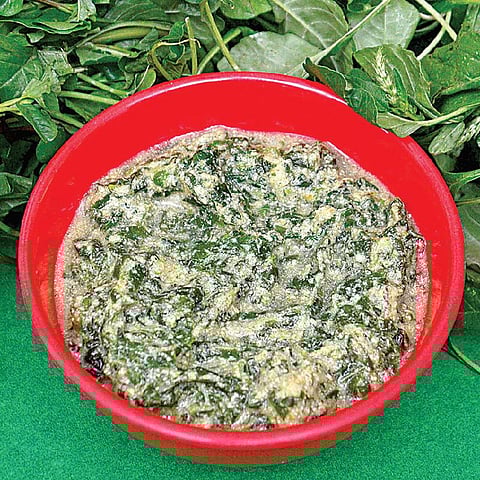 தலைவாழை: முளைக்கீரை தயிர் மசியல்