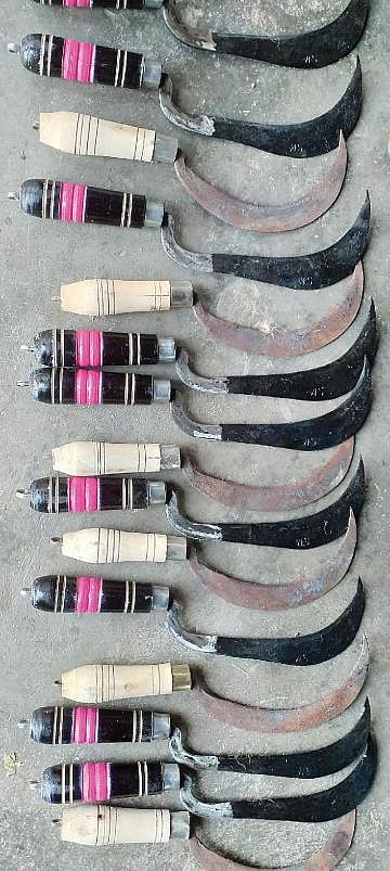 காணாமல் போகும் கதிர் அரிவாள்