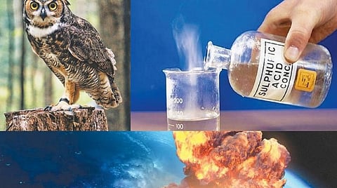 டிங்குவிடம் கேளுங்கள்: அணு ஆயுதங்களை ஒழிக்க முடியுமா?