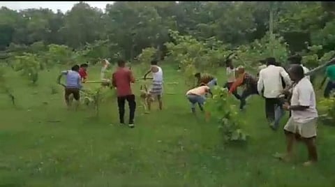 உ.பி.யில் கிராம மக்களால் புலி அடித்துக்கொலை