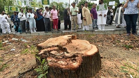 பிரதிநிதித்துவப்படம்