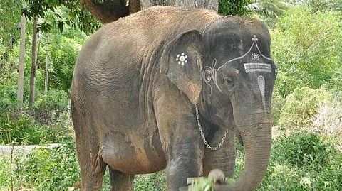 கோப்புப் படம்