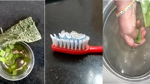 பாத்திரம் கழுவ, பல் துலக்க, தரை துடைக்க, வெவ்வேறு விதங்களில் பயன்படும் கற்றாழை.