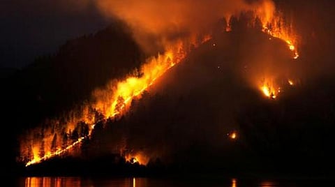 சைபீரியாவில் பயங்கர காட்டுத் தீ: டரம்ப், புதின் ஆலோசனை