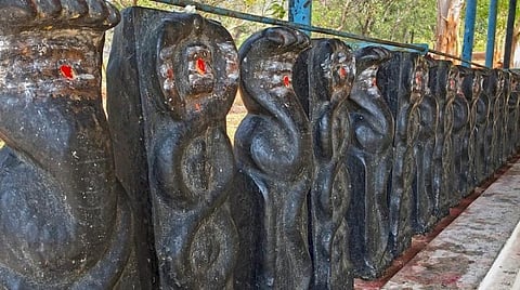 ராகு - கேது தோஷம் போக்கும் நாக சதுர்த்தி இன்று!