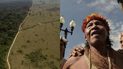 அழிக்கப்படும் அமேசான் மழைக்காடுகள்: பேராபத்தில் பூர்வகுடிகள்