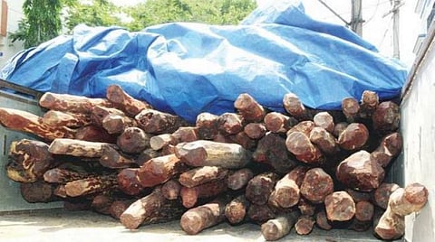 வெளிநாடுகளுக்கு கடத்தப்படவிருந்த ரூ.4.5 கோடி செம்மரக்கட்டைகள் பறிமுதல்: சென்னை, கோவையை சேர்ந்த கும்பல் கைது