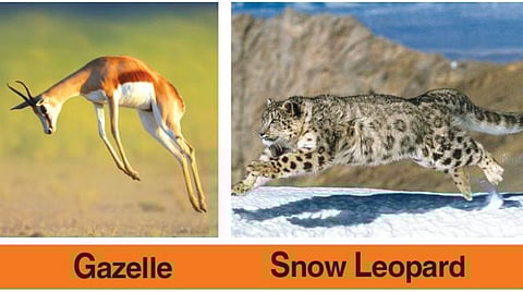 ஆங்கிலம் அறிவோமே 276: வீட்டுக்கா இல்ல வீட்டுக்குள்ளேயா?