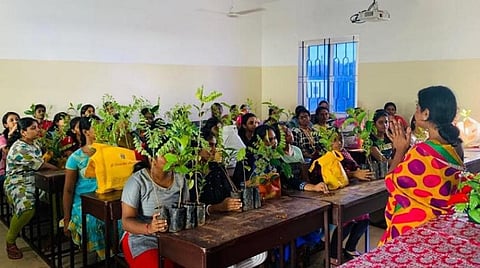 கல்லூரிகளில் விழிப்புணர்வோடு, இலவசமாக வழங்கப்பட்ட மரக் கன்றுகள்!