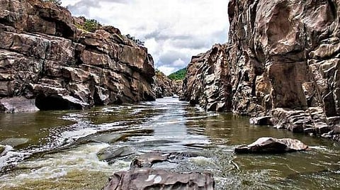 மேகேதாட்டு அணை விவகாரம்: மத்திய அரசின் முடிவுக்கு டெல்டா விவசாயிகள் வரவேற்பு