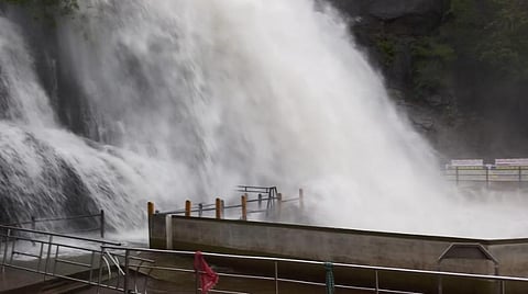 நெல்லை மாவட்டத்தில் கனமழை; சேர்வலாறு அணை நீ்ர்மட்டம் ஒரே நாளில் 28 அடி உயர்வு; குற்றாலத்தில் வெள்ளப் பெருக்கு