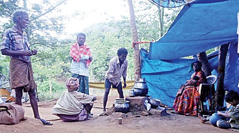 இன்று உலக பழங்குடிகள் தினம்: 2 வாரத்துக்கு ஒரு பழங்குடியின மொழி அழிவதாக அதிர்ச்சி தகவல்
