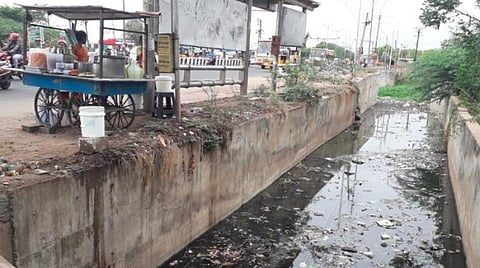மதுரை மாநகராட்சியில் நிதிப்பற்றாக்குறையால் முடங்கிய கொசு ஒழிப்பு: கொசு உற்பத்தி தொழிற்கூடமாக மாறிய மழைநீர் கால்வாய்கள்