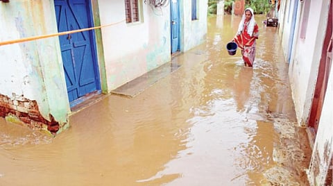 ஆசாத் நகரில் தேங்கியுள்ள மழைநீர். படங்கள்: ஜெ.மனோகரன்.
