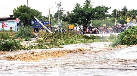 கண்ணீரை துடைக்குமா ‘கருணை மழை’- நீர்நிலைகளை சீரமைத்து பாதுகாக்க வலியுறுத்தல்