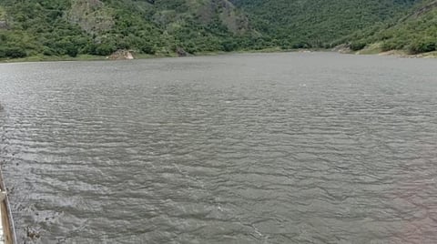 தொடர் மழை எதிரொலி: நெல்லை அடவிநயினார் கோயில் அணை நீர்மட்டம் 109 அடியாக உயர்வு; 8 அணைகளின் நீர்மட்டம் கணிசமாக அதிகரிப்பு