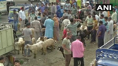 ஸ்ரீநகரில் இயல்புநிலை: ஜம்முவில் ஆடுகள் வாங்க சந்தையில் கூட்டம்