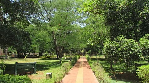 மதுரை சுற்றுச்சூழல் பூங்கா பசுமையை இழக்கிறதா?- வணிக மயமாக்க தனியாருக்கு 'டெண்டர்' விடுவதால் சர்ச்சை