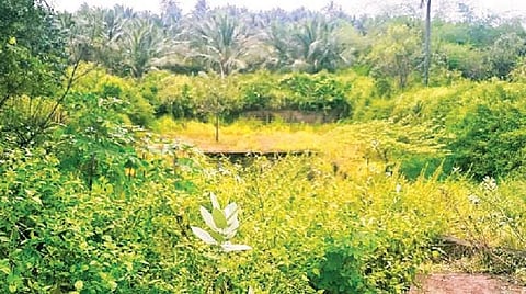 ஊருணிக்கு உயிரூட்டிய `நவக்கரை' இளைஞர்கள்!