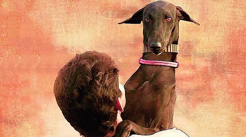 தேசிய திரைப்பட விருதுகள் 2019: விடுபட்ட படங்கள் உணர்த்தும் செய்தி!