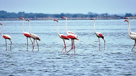 புதிய பறவை 08: மாலையில் யாரோ மனதோடு பேச...