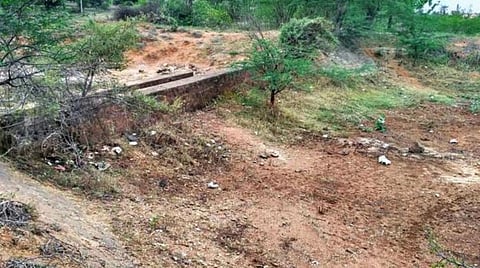 நெல்லை அருகே முட்புதரில் வீசப்பட்ட பெண் சிசு மீட்பு