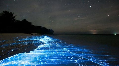 பிரதிநிதித்துவப் படம்