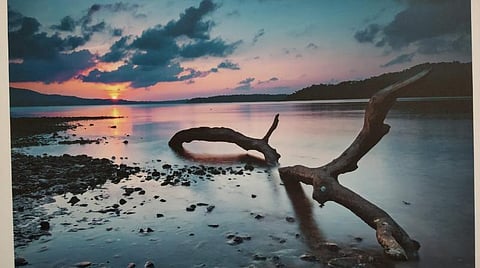 நீருக்கு ஒரு பாடல்: உலக புகைப்பட தினத்தை முன்னிட்டு ஒரு புதுமையான முயற்சி