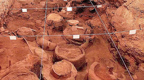 திறந்திடு சீஸேம் 47: அரேனி-1 அதிசயங்கள்!