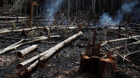 மூன்று வாரங்களாக பற்றி எரியும் அமேசான் காடுகள்: அச்சத்தில் விஞ்ஞானிகள்