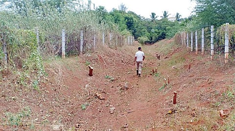 மதுரை அருகே பிளாட்டுகளாக மாறிய பாசன கால்வாய்; சிஐஎஸ்எப் வீரர்கள் தூர்வாரும் பணியின்போது தெரியவந்தது