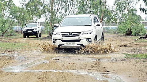 காட்டு யானை மீது ஒரு குட்டி சவாரி