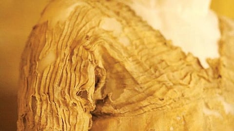 திறந்திடு சீஸேம் 48: உடையின் வயது 5 ஆயிரம்!