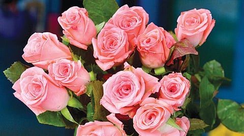 மதுரை மலர் சந்தையில் விற்பனைக்காக வைக்கப்பட்டுள்ள ரோஜா பூக்கள்.