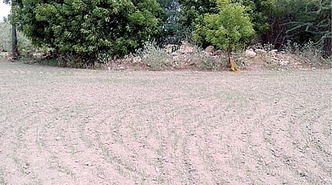 சந்திரயான் - 2 விண்கலத்தின் ரோவர் வாகனத்தின் சோதனை ஓட்டத்துக்காக மண் எடுக்கப்பட்ட ஓய்வுபெற்ற தபால் ஊழியர் பி.சண்முகத்துக்கு சொந்தமான விளைநிலம்.படங்கள்: கி. பார்த்திபன்