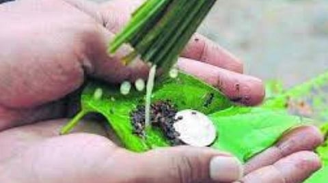 ஐஸ்வர்யம் தருவார்கள் பித்ருக்கள் - மகாளய பட்சம் ஸ்பெஷல்