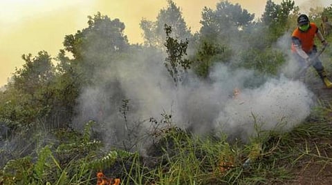 இந்தோனேசியாவில் காட்டுத் தீ அணைய மழை வேண்டி மக்கள் பிரார்த்தனை