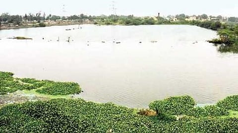 டேனியல் செல்லப்பா