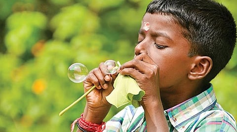 தாவர நேசம்: பிள்ளைப் பருவத்துத் தாவரங்கள்