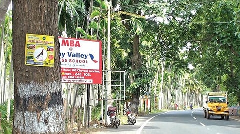 மரங்களை புண்படுத்தலாமா?