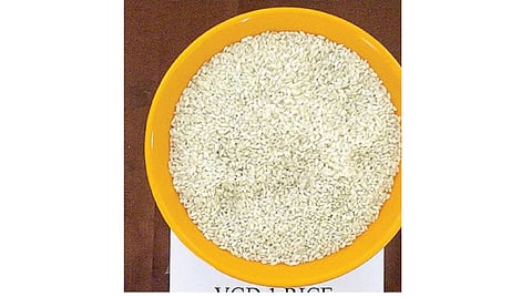 குஸ்கா, பிரியாணி தயாரிக்க சீரகச் சம்பாவுக்கு மாற்றாக சிறப்பு நெல் ரகம் உருவாக்கம்