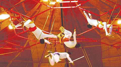 வாழ்வு இனிது: சர்க்கஸ் என்னும் சாகசக் கனவு