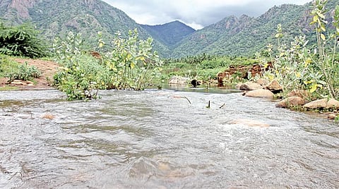திண்டுக்கல் மாவட்டத்தில் விடிய விடிய கொட்டித் தீர்த்த மழை: தமிழகத்திலேயே அதிகபட்சமாக 16.1 செ.மீ மழை பதிவு